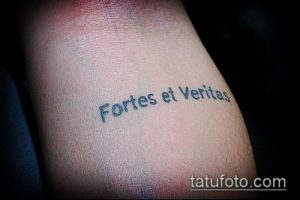 Фото тату надписи 'Fortes et Veritas' на предплечье. Черный цвет, простой шрифт, минималистичный стиль. Идеи для тату надписей.