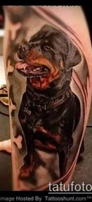 Фото тату ротвейлер — 06062017 — пример — 013 Rottweiler tattoo