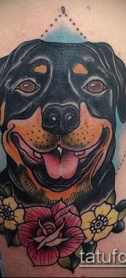 Фото тату ротвейлер — 06062017 — пример — 019 Rottweiler tattoo