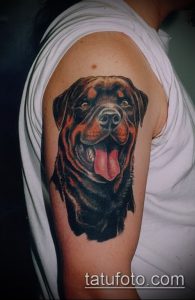 Фото тату ротвейлера на плече, выполненное в реалистичном стиле с использованием черных и коричневых оттенков. Портрет собаки с высунутым языком.