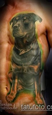 Фото тату ротвейлер — 06062017 — пример — 023 Rottweiler tattoo