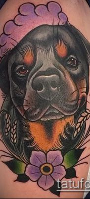 Фото тату ротвейлер — 06062017 — пример — 033 Rottweiler tattoo