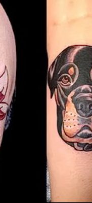 Фото тату ротвейлер — 06062017 — пример — 037 Rottweiler tattoo