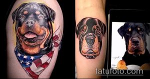 Фото тату ротвейлера с американским флагом на плече и на предплечье. Яркие цвета, реалистичное изображение собаки и патриотическая символика.