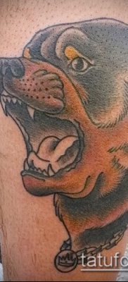 Фото тату ротвейлер — 06062017 — пример — 038 Rottweiler tattoo.LsTjBqekYD