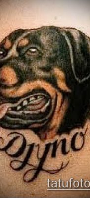 Фото тату ротвейлер — 06062017 — пример — 046 Rottweiler tattoo