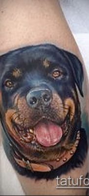 Фото тату ротвейлер — 06062017 — пример — 047 Rottweiler tattoo
