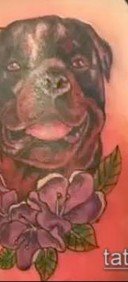 Фото тату ротвейлер — 06062017 — пример — 049 Rottweiler tattoo