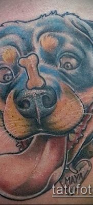 Фото тату ротвейлер — 06062017 — пример — 052 Rottweiler tattoo