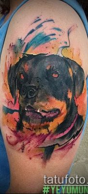 Фото тату ротвейлер — 06062017 — пример — 055 Rottweiler tattoo