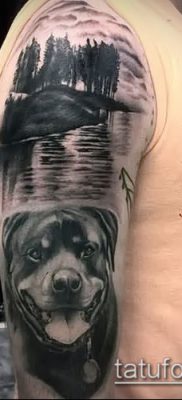 Фото тату ротвейлер — 06062017 — пример — 062 Rottweiler tattoo