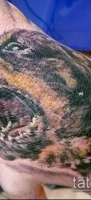 Фото тату ротвейлер — 06062017 — пример — 067 Rottweiler tattoo