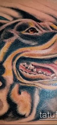 Фото тату ротвейлер — 06062017 — пример — 070 Rottweiler tattoo