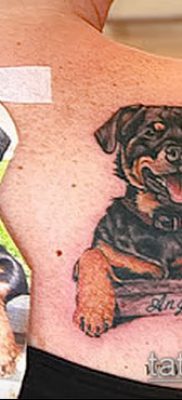Фото тату ротвейлер — 06062017 — пример — 072 Rottweiler tattoo