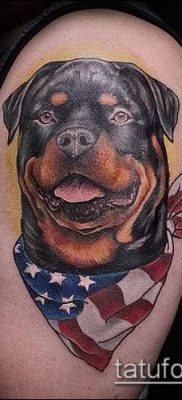 Фото тату ротвейлер — 06062017 — пример — 076 Rottweiler tattoo