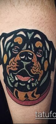 Фото тату ротвейлер — 06062017 — пример — 077 Rottweiler tattoo