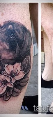 Фото тату ротвейлер — 06062017 — пример — 086 Rottweiler tattoo