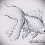 Эскиз тату золотая рыбка №239 - интересный вариант рисунка, который удачно можно использовать для доработки и нанесения как тату золотая рыбка на руке