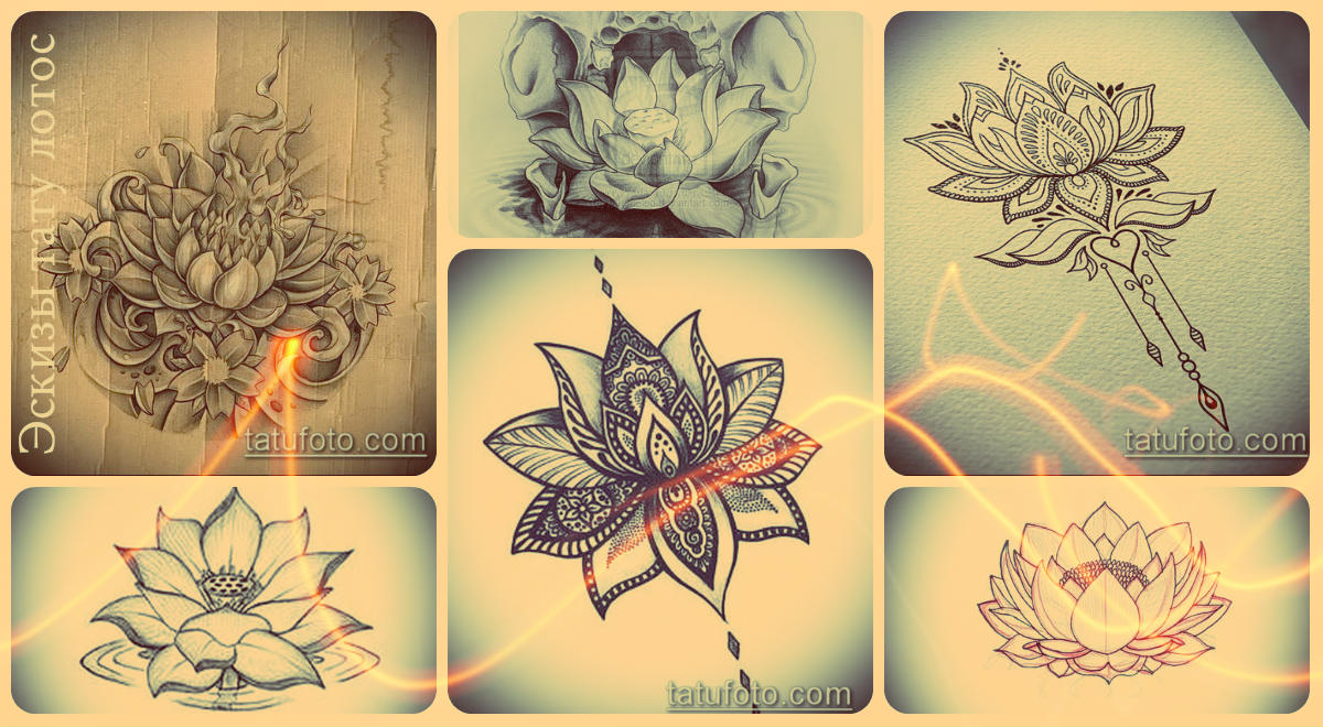 Эскизы тату лотос - интересные рисунки цветка для татуировки