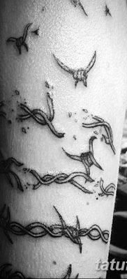 фото тату колючая проволока от 26.07.2017 №075 — Tattoo barbed wire_tatufoto.com