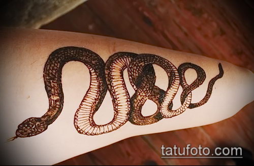 Фото змея хной - 21072017 - пример - 015 Snake with henna