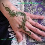 Фото змея хной - 21072017 - пример - 020 Snake with henna