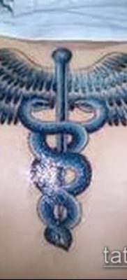 Фото тату крылья Гермеса — 06072017 — пример — 013 Tattoo wings of Hermes