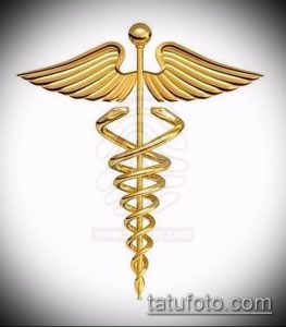 Фото тату: золотой символ Эскулапа с крыльями. Изящный и стильный рисунок татуировки для ценителей классики.