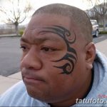 фото Тату Майка Тайсона на лице от 29.07.2017 №033 - Mike Tyson's Tattoo Face Tattoo