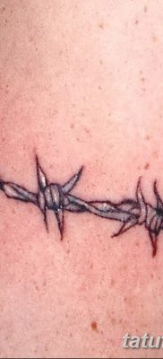 фото тату колючая проволока от 26.07.2017 №013 — Tattoo barbed wire_tatufoto.com