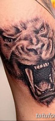 фото тату саблезубый тигр от 25.07.2017 №003 — Tattoo saber-toothed tiger
