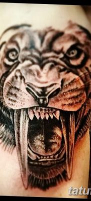 фото тату саблезубый тигр от 25.07.2017 №007 — Tattoo saber-toothed tiger