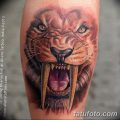 фото тату саблезубый тигр от 25.07.2017 №010 - Tattoo saber-toothed tiger