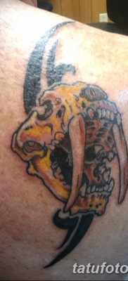 фото тату саблезубый тигр от 25.07.2017 №013 — Tattoo saber-toothed tiger
