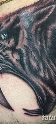 фото тату саблезубый тигр от 25.07.2017 №016 — Tattoo saber-toothed tiger