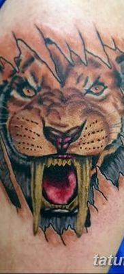 фото тату саблезубый тигр от 25.07.2017 №017 — Tattoo saber-toothed tiger