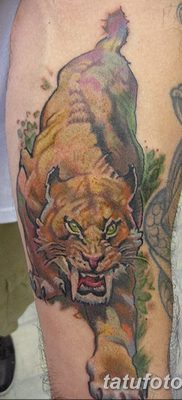 фото тату саблезубый тигр от 25.07.2017 №023 — Tattoo saber-toothed tiger