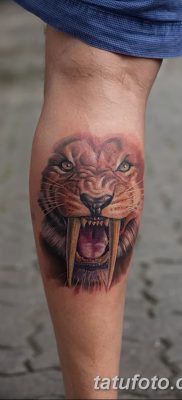 фото тату саблезубый тигр от 25.07.2017 №033 — Tattoo saber-toothed tiger