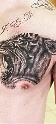 фото тату саблезубый тигр от 25.07.2017 №042 — Tattoo saber-toothed tiger