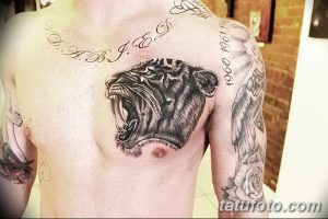 Фото тату рычащего тигра на груди и плече, выполненное в черно-серых тонах. Детализированный рисунок с выразительной мордой и мощными лапами.