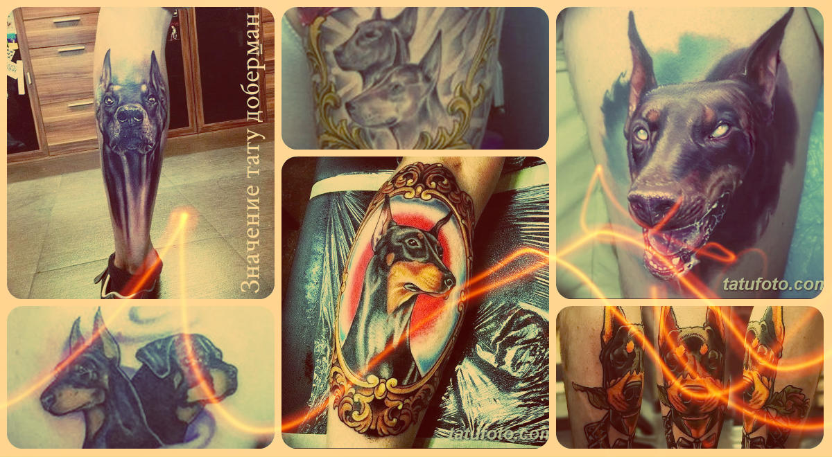 Значение тату доберман - фото примеры готовых татуировок