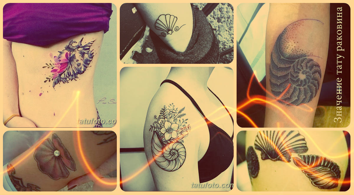 Значение тату раковина - фото примеры рисунков татуировки