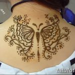 фото Мехенди бабочка от 01.08.2017 №060 - Mehendi Butterfly_tatufoto.com