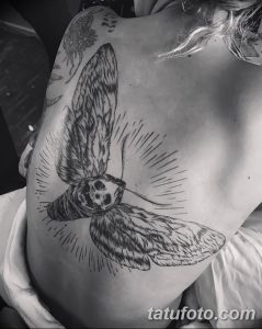 Фото тату: большая бабочка с черепом вместо тела, выполненная в технике blackwork, расположена на спине, создавая мистический и привлекательный образ.
