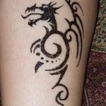 фото дракон хной от 02.08.2017 №002 - Dragon henna_tatufoto.com