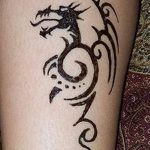 фото дракон хной от 02.08.2017 №004 - Dragon henna_tatufoto.com