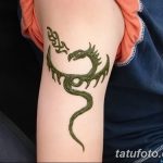 фото дракон хной от 02.08.2017 №019 - Dragon henna_tatufoto.com