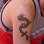фото дракон хной от 02.08.2017 №021 - Dragon henna_tatufoto.com