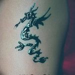 фото дракон хной от 02.08.2017 №037 - Dragon henna_tatufoto.com