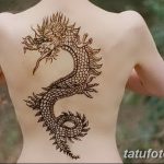 фото дракон хной от 02.08.2017 №038 - Dragon henna_tatufoto.com